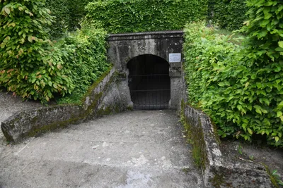 DSC_6124 (Large).JPG